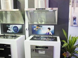 家丽雅亮相2010顺德家电展 厨卫家电引领智能生活新风尚